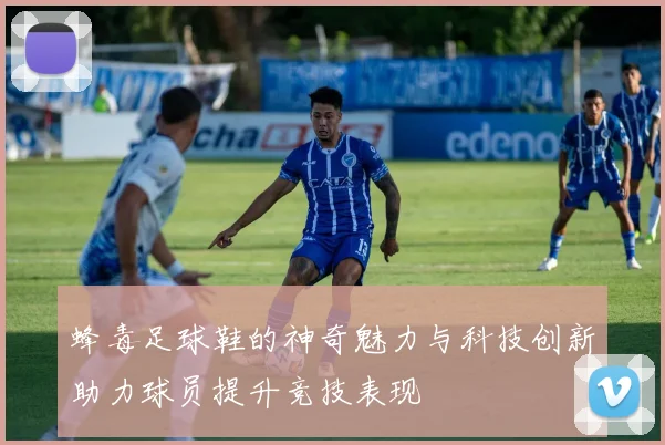 蜂毒足球鞋的神奇魅力与科技创新助力球员提升竞技表现