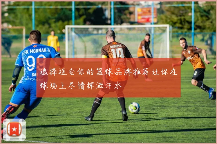 选择适合你的篮球品牌推荐让你在球场上尽情挥洒汗水