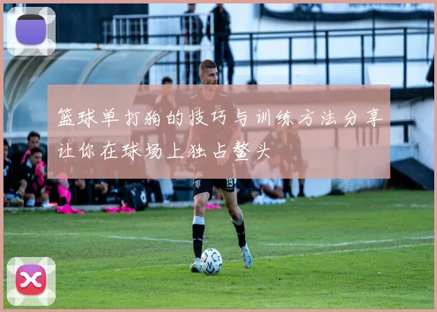 篮球单打狗的技巧与训练方法分享让你在球场上独占鳌头