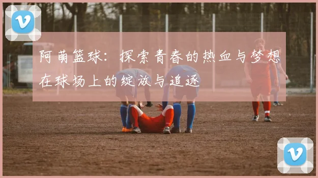 阿萌篮球：探索青春的热血与梦想在球场上的绽放与追逐