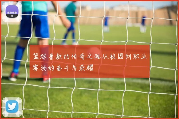 篮球鲁敖的传奇之路从校园到职业赛场的奋斗与荣耀